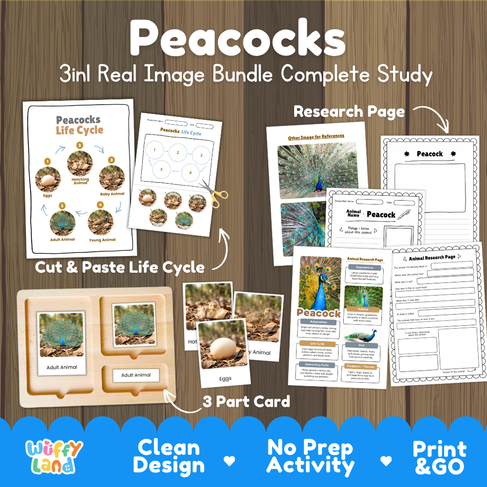 Peacock 3-in-1 real image bundle complete study cover showing cut and paste life cycle, 3 part cards, and research pages