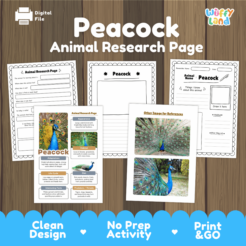 Peacock Animal Research Page Worksheets and Fact Sheet