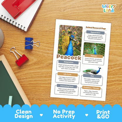 Peacock Animal Research Page Worksheets and Fact Sheet
