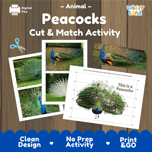 Peacock Cut and Match Activity Worksheets | Bird Puzzle Printables