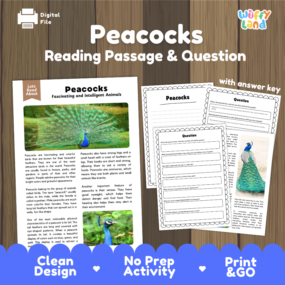 Peacocks Reading Passage and Comprehension Questions Worksheets