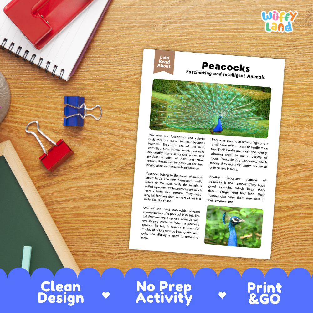 Peacocks Reading Passage and Comprehension Questions Worksheets
