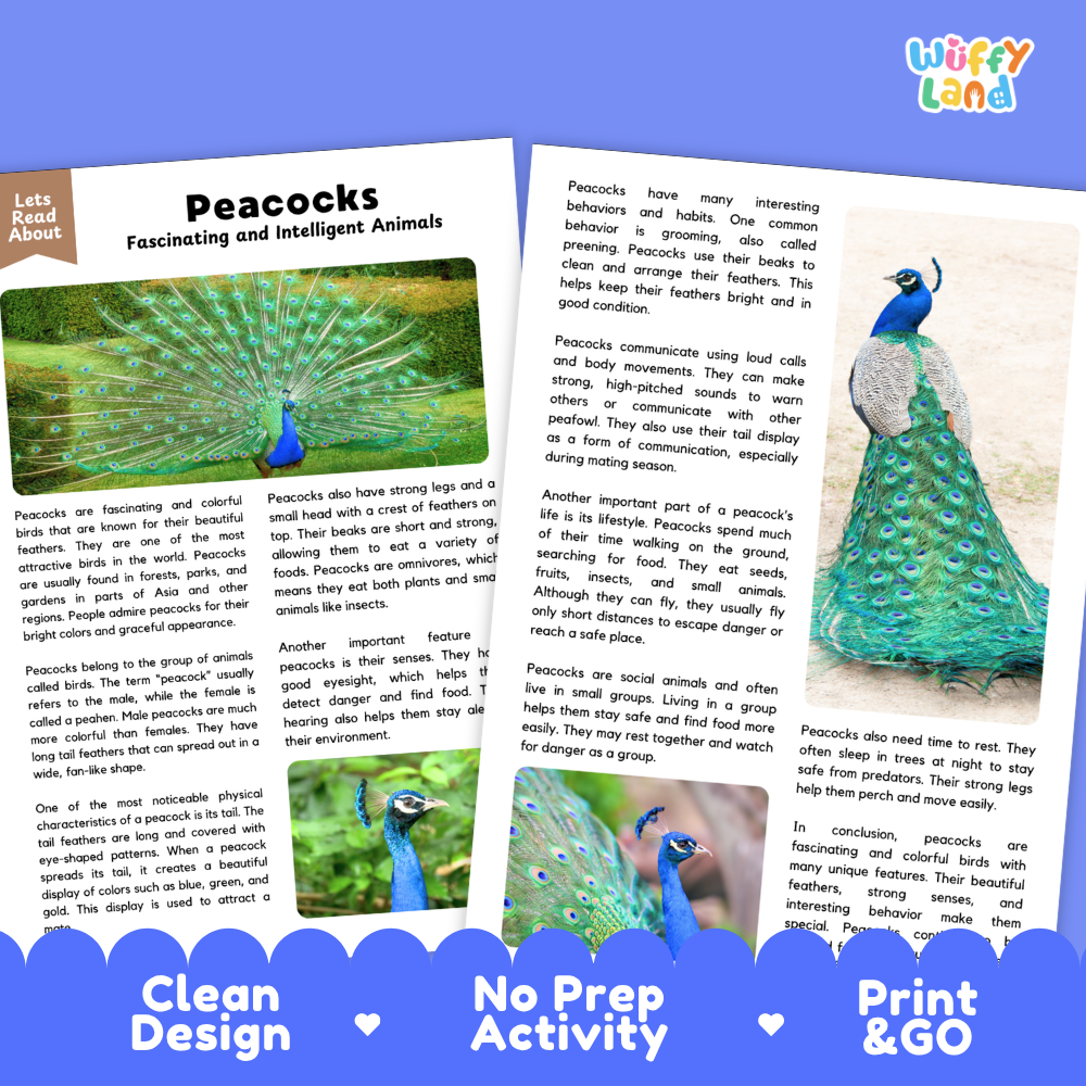 Peacocks Reading Passage and Comprehension Questions Worksheets