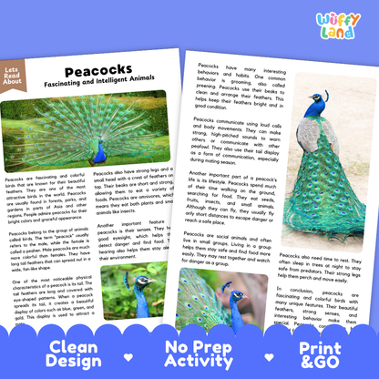 Peacocks Reading Passage and Comprehension Questions Worksheets
