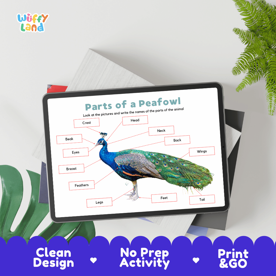 Hands-on peafowl anatomy cut and paste worksheet with printable word tags, callout pointer lines, and scissors graphic