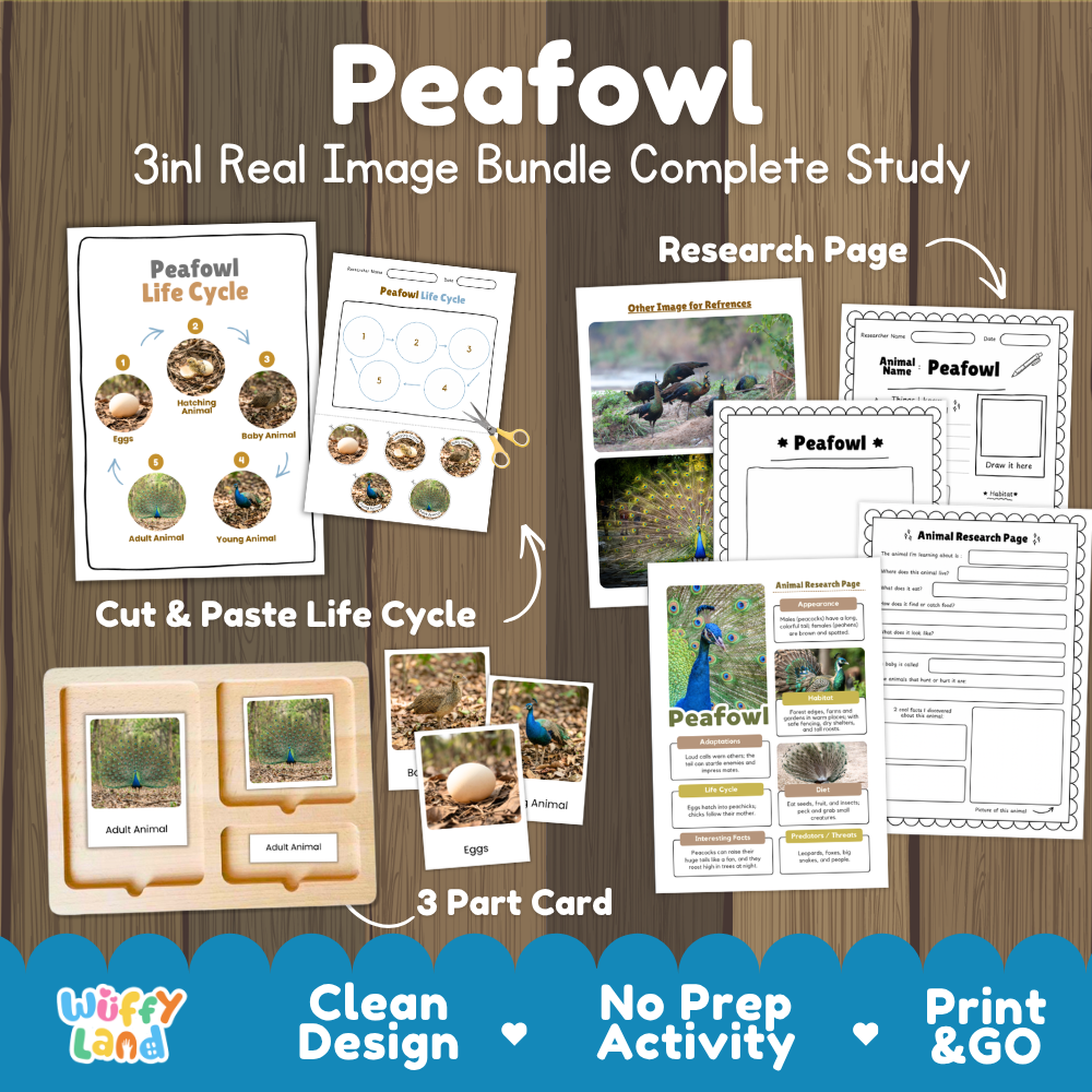 Peafowl 3-in-1 real image bundle complete study cover showing cut and paste life cycle, 3 part cards, and research pages