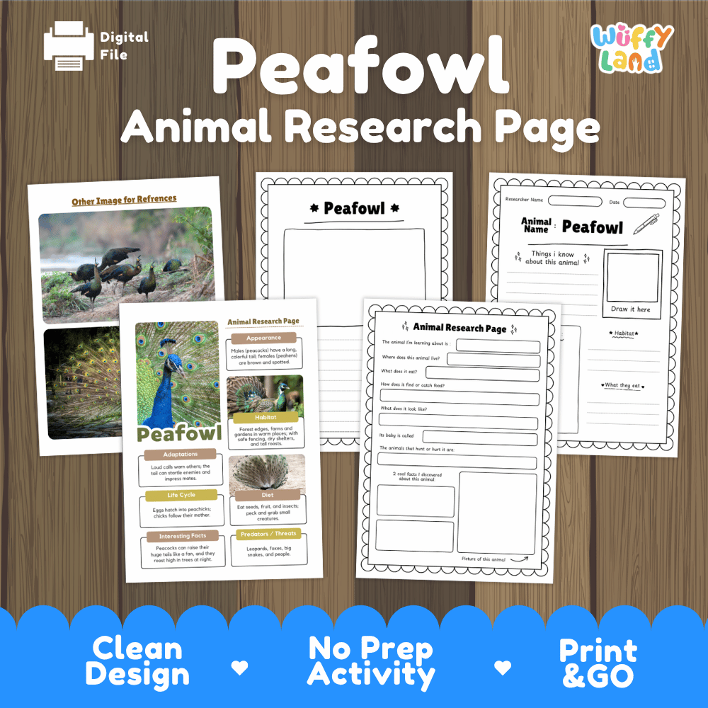 Peafowl Animal Research Page printable activity sheet set by Wiffy Land, displayed on a wood background with a blue banner at the bottom highlighting key features like clean design, no prep activity, and print & go.