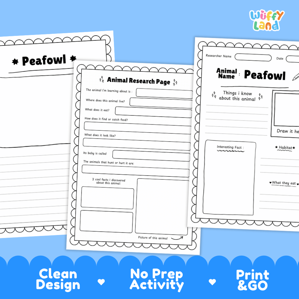 Three printable worksheet pages for animal research, featuring a peafowl theme, displayed on a blue background with promotional text at the bottom.