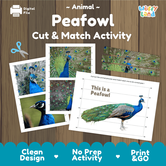 Peafowl Cut and Match Activity Worksheets | Bird Puzzle Printables
