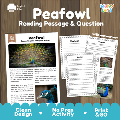 Peafowl Reading Passage and Comprehension Questions Worksheets with Answer Key
