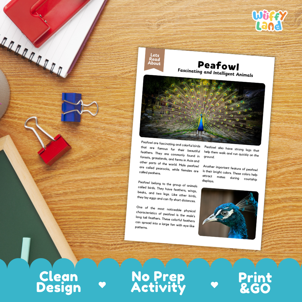 Peafowl Reading Passage and Comprehension Questions Worksheets with Answer Key