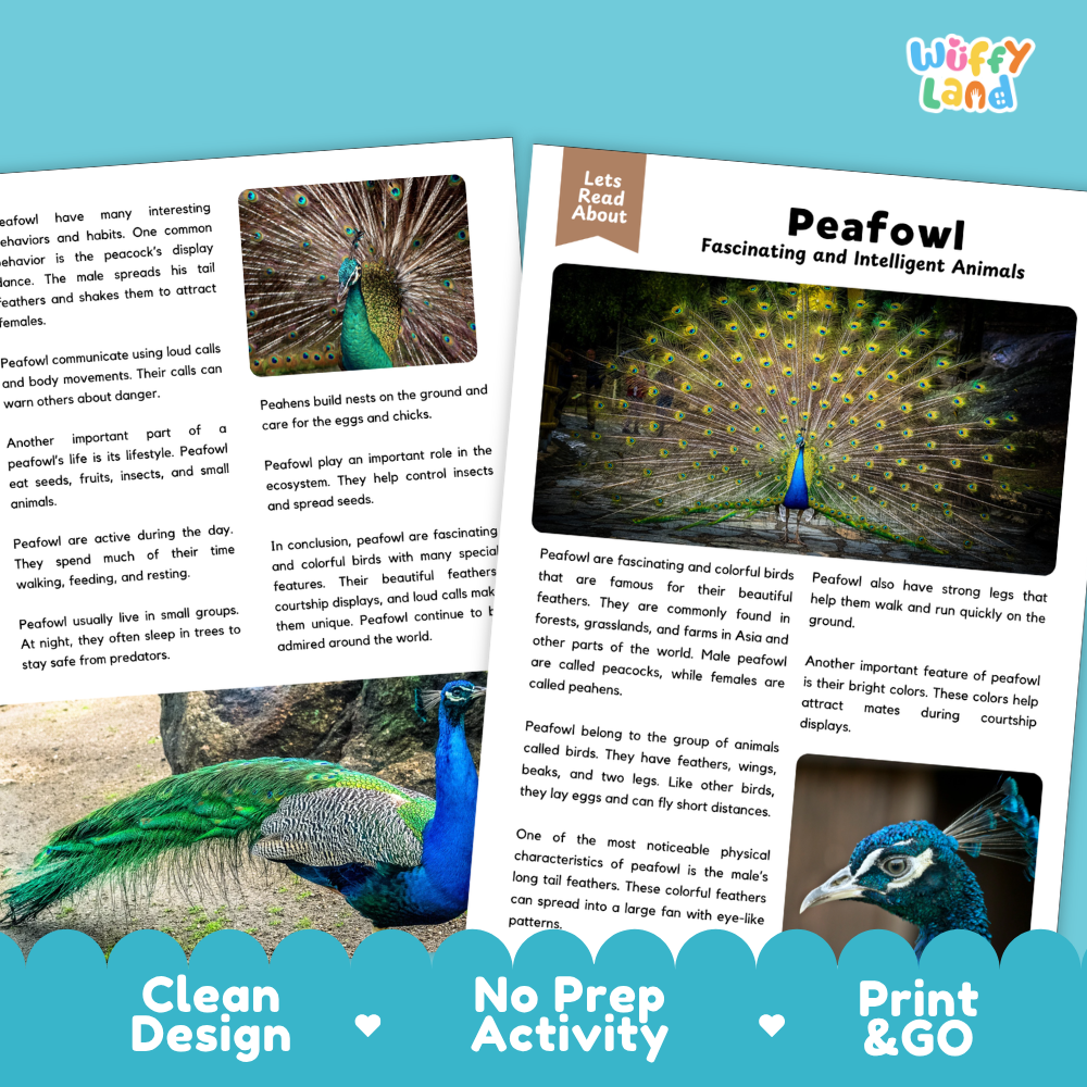 Peafowl Reading Passage and Comprehension Questions Worksheets with Answer Key