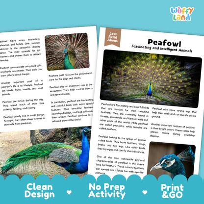 Peafowl Reading Passage and Comprehension Questions Worksheets with Answer Key