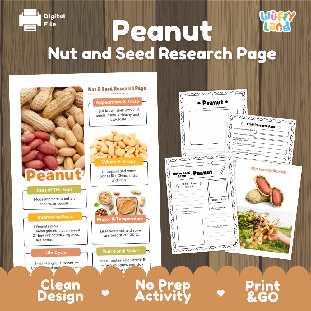 Peanut Nut and Seed Research Page Worksheets
