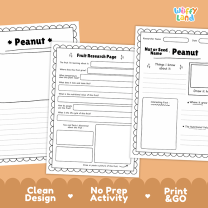 Three printable worksheet pages for a fruit research activity about peanuts, shown on an orange background with decorative scalloped borders and the text 'Clean Design', 'No Prep Activity', and 'Print & GO'. The top-right corner includes the 'Wiffly Land' brand logo.