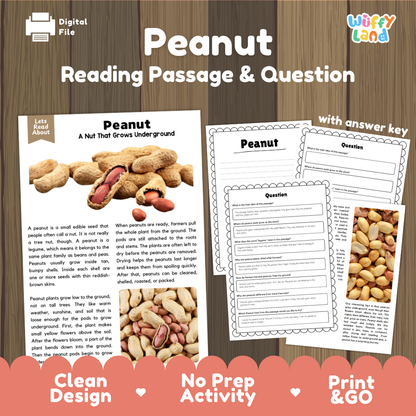 Digital printable activity sheet set titled 'Peanut Reading Passage & Question' on a wood background. The design shows a sample reading passage about peanuts, two worksheet pages with text and question areas, and a 'with answer key' note.