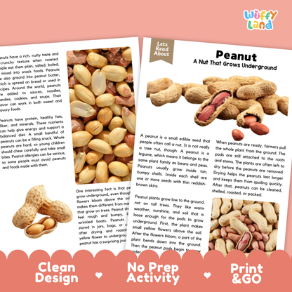 An educational poster about peanuts, featuring a large photo of hands holding a peanut, a smaller photo of a peanut tree, and text explaining that peanuts are a nut that grows underground. The brand 'wiffly land' is visible in the top right corner.