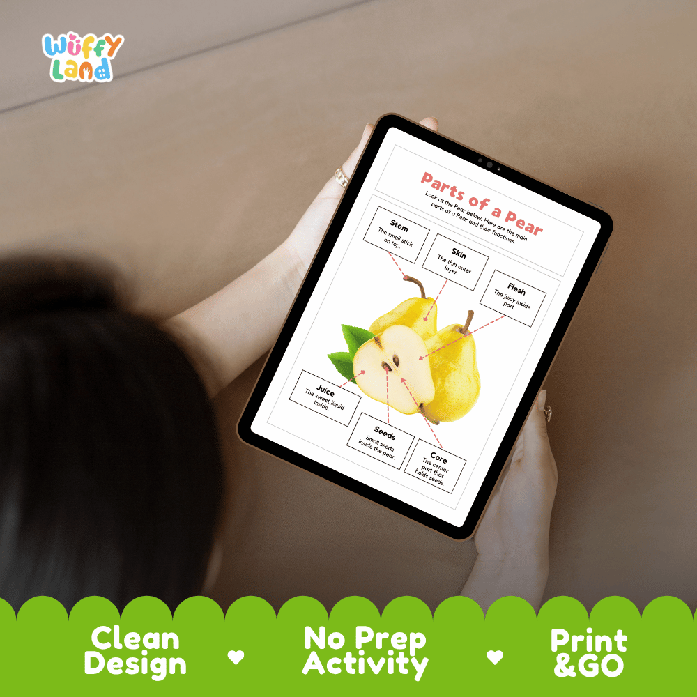 Educational cut and paste pear fruit anatomy worksheet with printable word cutout tiles for stem, skin, flesh, juice, seeds, and core