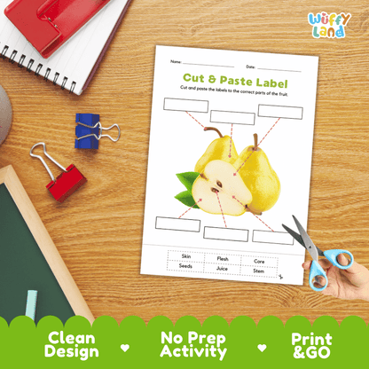 Printable plant biology worksheet showing sliced and whole yellow pears with blank labeling boxes and a vocabulary word bank for writing practice