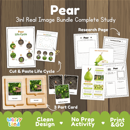 Pear tree life cycle 3in1 real image bundle complete study overview featuring cut and paste worksheets, Montessori 3-part cards, and research pages from Wuffy Land 🍐🌱