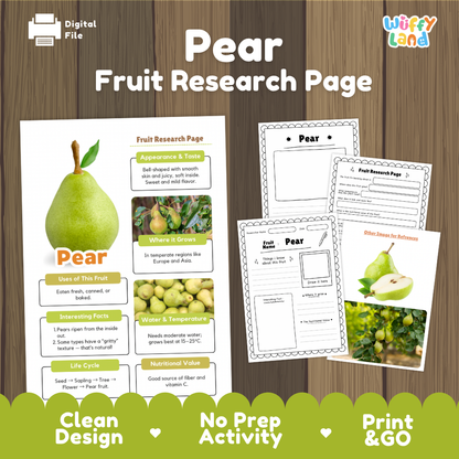Pear Fruit Research Page Worksheets and Fact Sheet