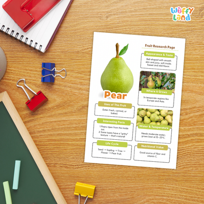 Pear Fruit Research Page Worksheets and Fact Sheet