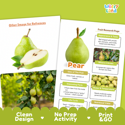 Pear Fruit Research Page Worksheets and Fact Sheet