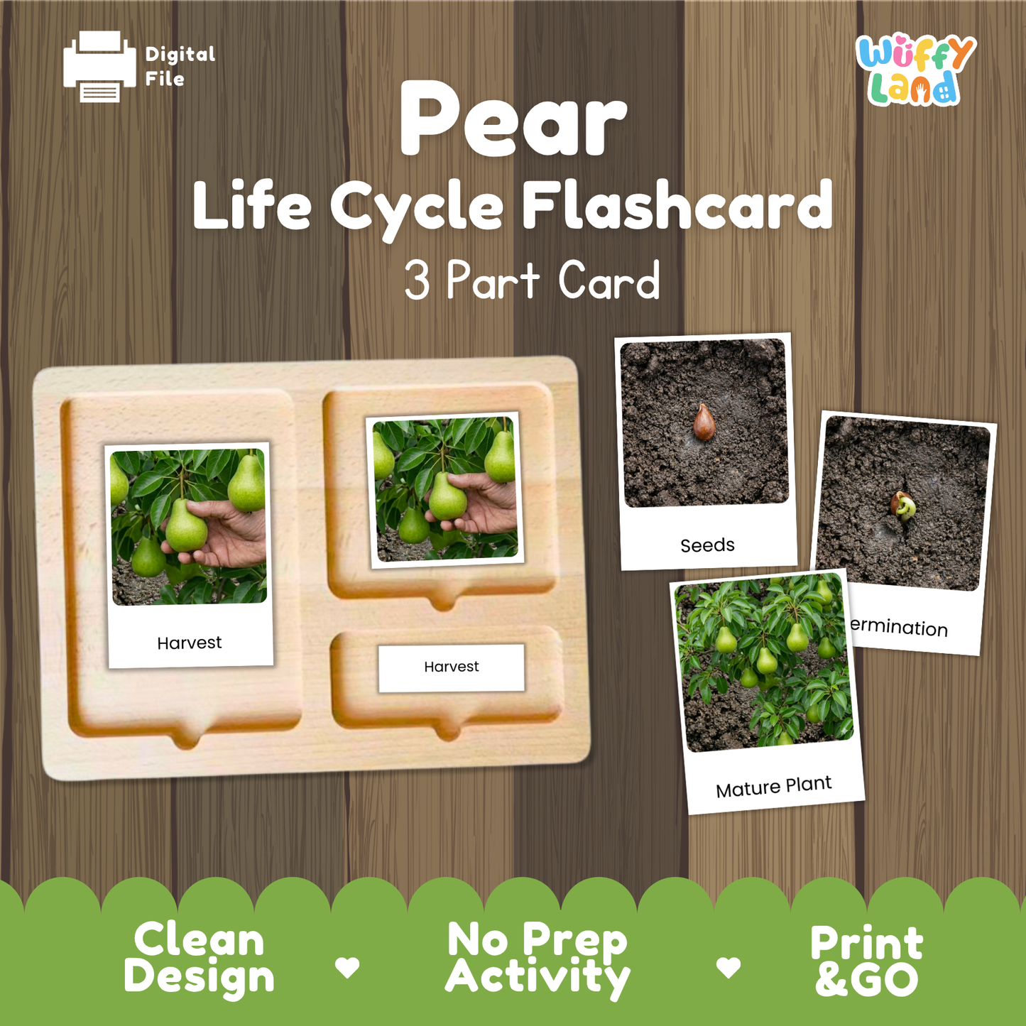 Pear Life Cycle Flashcard set by Wiffy Land, featuring a 3-part wooden card tray with labeled stages: Harvest, Seeds, Termination, and Mature Plant. The cards show green pears, soil, and plant imagery on a wood-textured background with promotional text at the bottom.