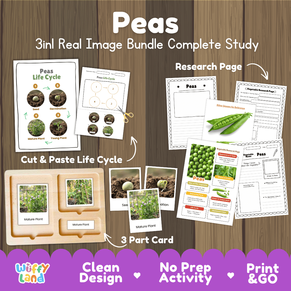 Peas 3in1 real image bundle complete study printable featuring life cycle cut and paste worksheets, Montessori 3-part cards, and research pages