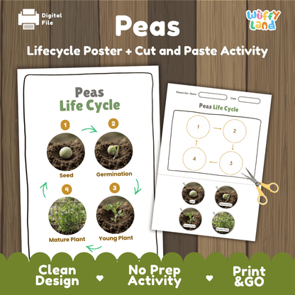 Peas plant life cycle educational printable pack cover showing visual reference poster and cut and paste sequencing worksheet with real photography