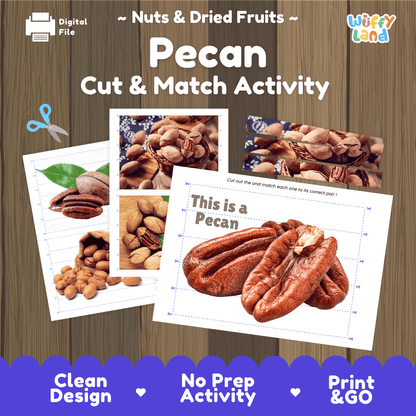 Pecan Cut and Match Activity Worksheets | Nuts and Dried Fruits Puzzle Printables