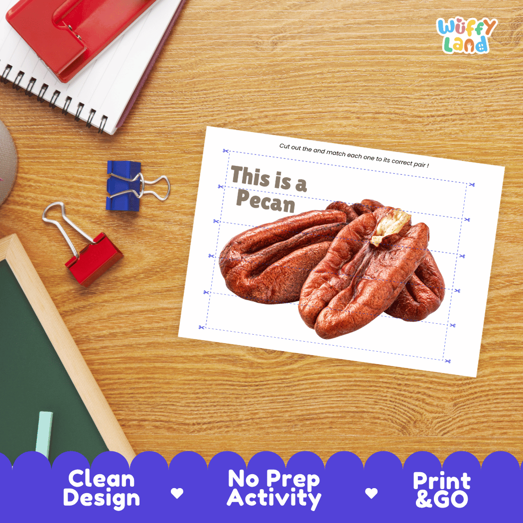 Pecan Cut and Match Activity Worksheets | Nuts and Dried Fruits Puzzle Printables