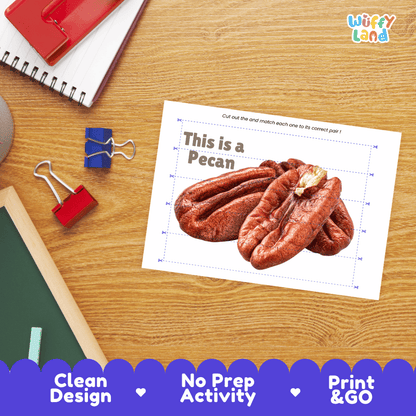 Pecan Cut and Match Activity Worksheets | Nuts and Dried Fruits Puzzle Printables
