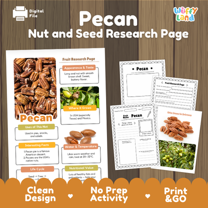 Digital preview of a 'Pecan Nut and Seed Research Page' activity sheet set by Wiffly Land, featuring a main printed page and two smaller worksheet pages on a wood-textured background with promotional text at the bottom.