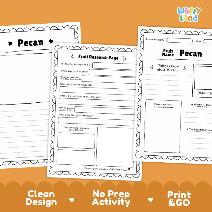 Three printable fruit research worksheet pages about pecan are shown on an orange background with marketing text at the bottom. The pages are black-and-white lined activity sheets with writing and drawing areas, and the brand name 'Wiffly Land' appears in the top right.