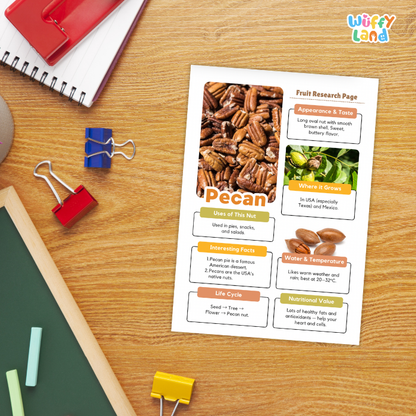Pecan Nut and Seed Research Page Worksheets and Fact Sheet