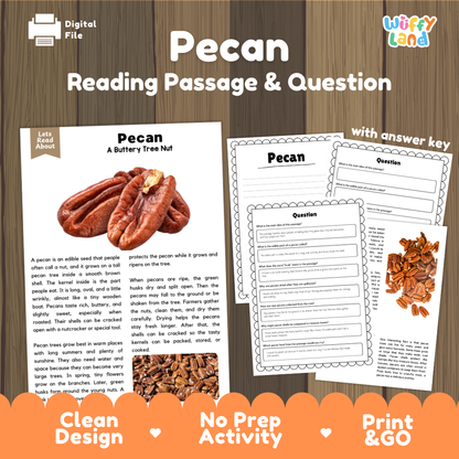 Digital printable activity sheet set titled 'Pecan Reading Passage & Question' by Wiffly Land, featuring a reading passage about pecans, worksheet pages with comprehension questions, and an answer key, displayed on a wood background with promotional text at the bottom.