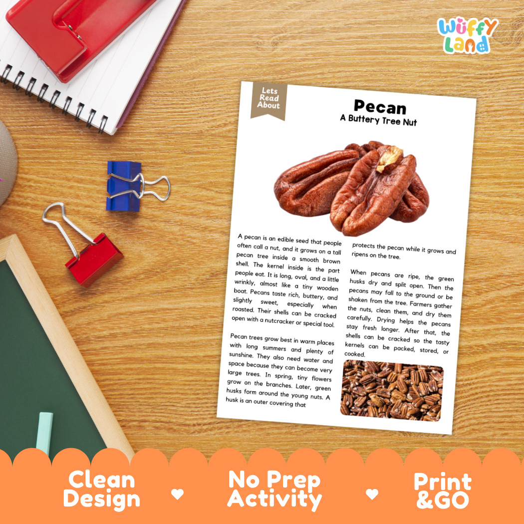A printed educational activity sheet titled 'Pecan: A Battery Tree Nut' by Willy Flyer, displayed on a wooden desk with a red notebook, blue binder clips, and a pencil. The sheet features a photo of a pecan nut and text about pecans.