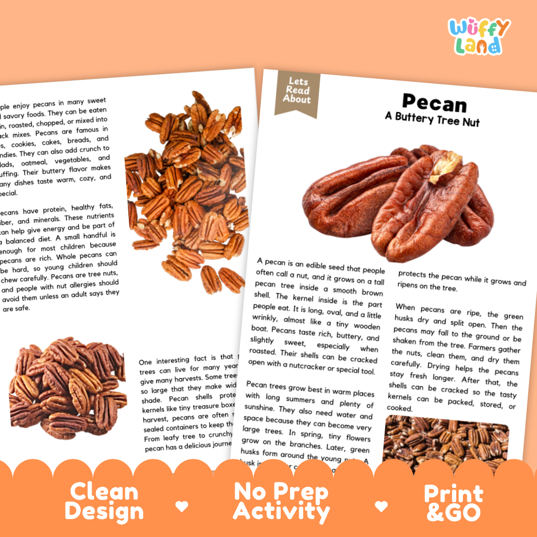 Three printed activity cards for children about pecans arranged on a white background with the brand name 'Wuffly Land' in the top right. The cards show a photo of a person holding a pecan, a tree diagram labeled 'Lets Read About', and a text layout titled 'Pecan A Buttery Tree Nut' with instructions and writing areas.
