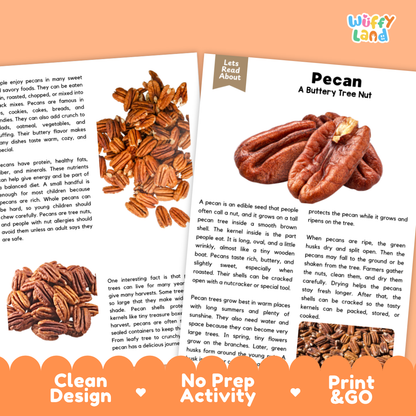 Three printed activity cards for children about pecans arranged on a white background with the brand name 'Wuffly Land' in the top right. The cards show a photo of a person holding a pecan, a tree diagram labeled 'Lets Read About', and a text layout titled 'Pecan A Buttery Tree Nut' with instructions and writing areas.