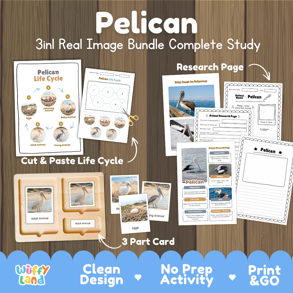 Pelican 3-in-1 real image bundle complete study cover showing cut and paste life cycle, 3 part cards, and research pages