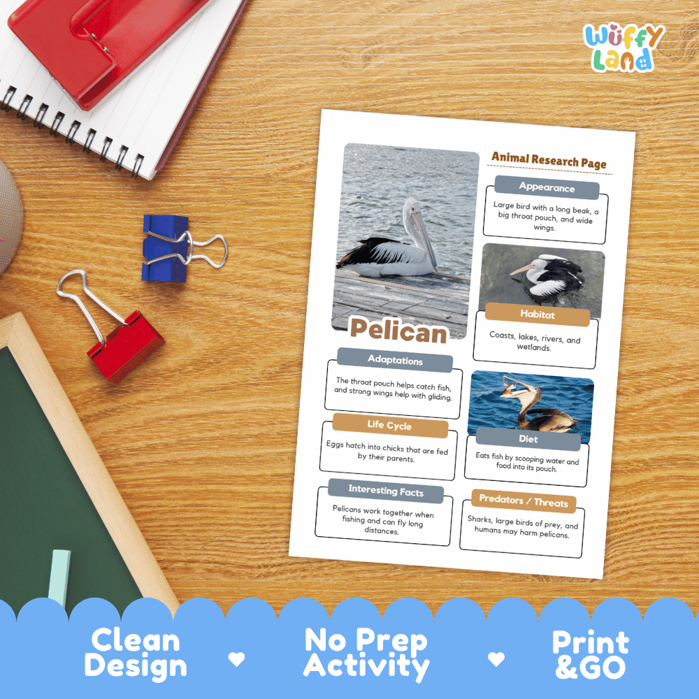 Pelican Animal Research Worksheets and Informational Fact Sheets