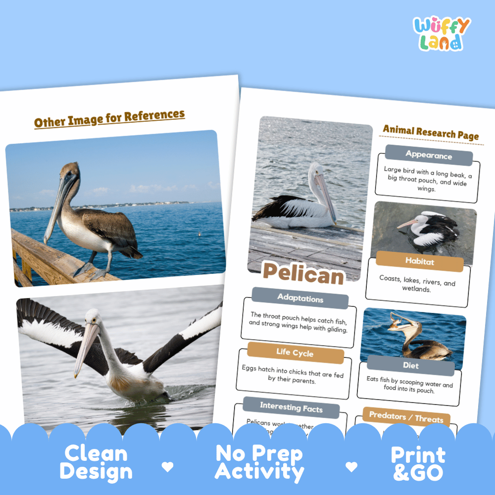 Pelican Animal Research Worksheets and Informational Fact Sheets