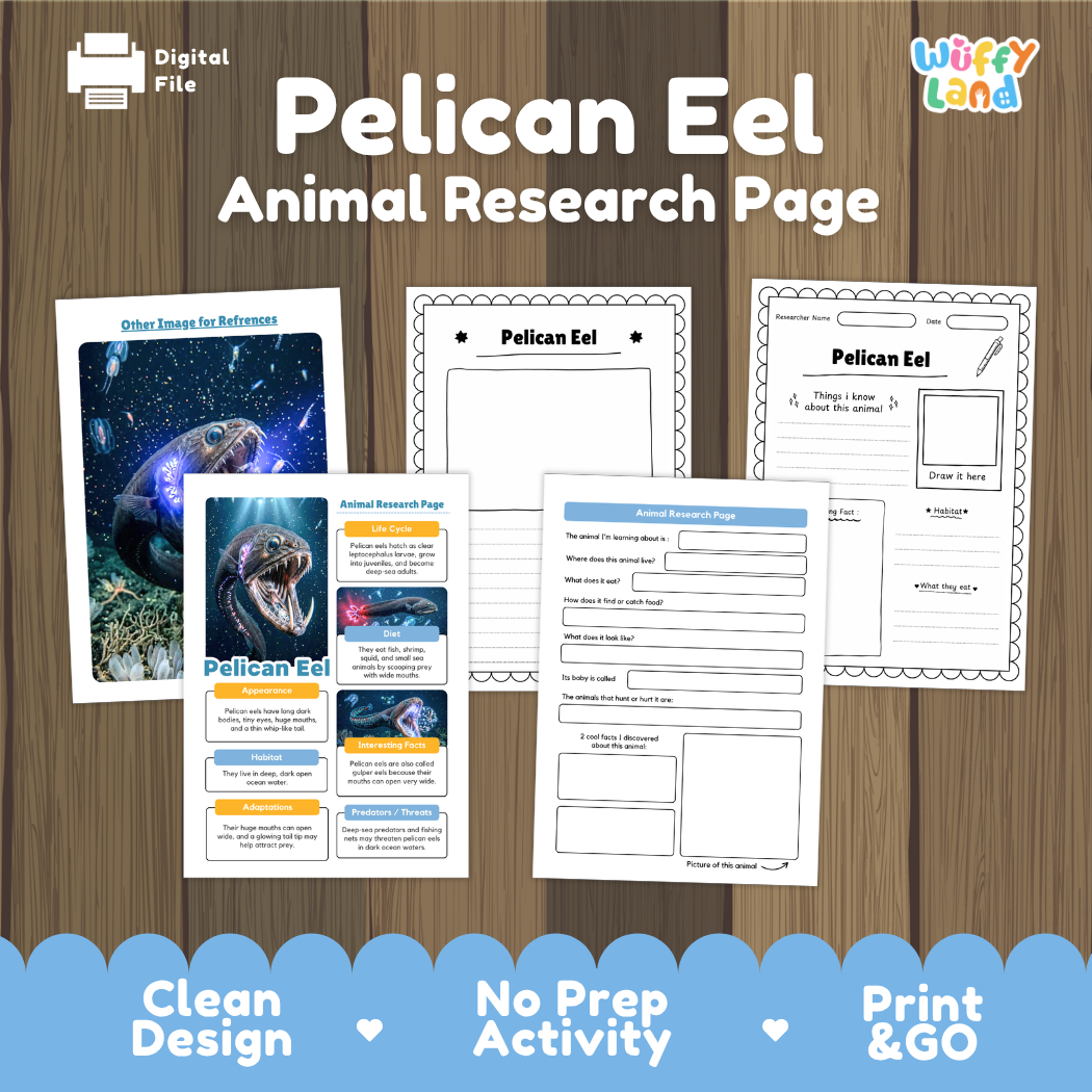 Digital product preview for a 'Pelican Eel Animal Research Page' by Wiffy Land, displayed on a wood-grain background. The image shows several printable worksheet pages with colorful illustrations of a pelican eel, including an infographic, a fact sheet, and activity pages.