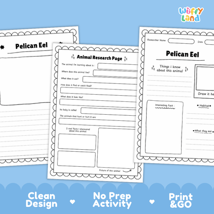 Three printable educational worksheets about a pelican eel are shown on a light blue background with marketing text at the bottom. The worksheets are white with black text and decorative border lines, and the brand name 'Wiffy Land' appears in the top right corner.