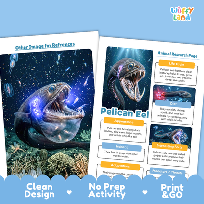 Two printed educational activity sheets about pelicans displayed on a white background with decorative blue wave banners at the bottom. The sheets show illustrated pelican fish drawings and text sections such as 'Other Image for References,' 'Animal Research Page,' 'Appearance,' 'Habitat,' and 'Interesting Facts.