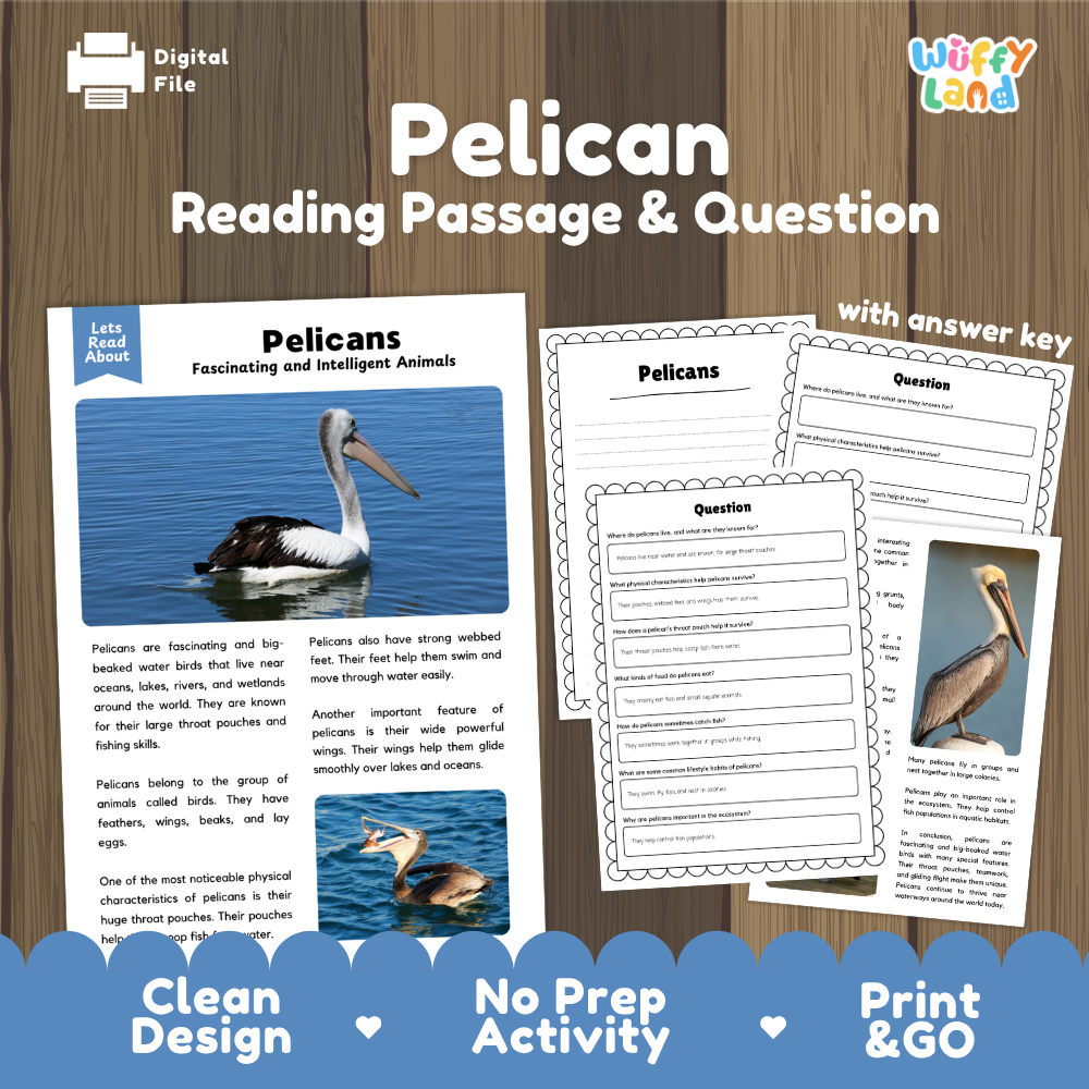 Pelican Reading Passage and Comprehension Questions with Answer Key Worksheets