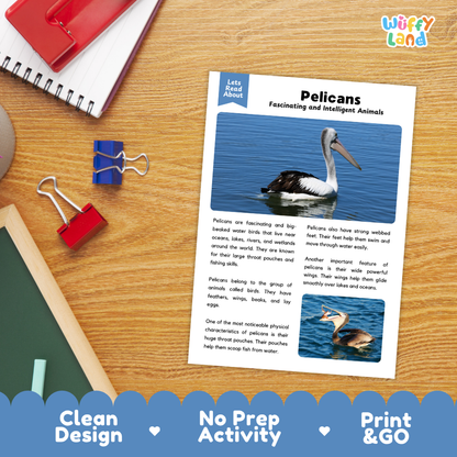 Pelican Reading Passage and Comprehension Questions with Answer Key Worksheets