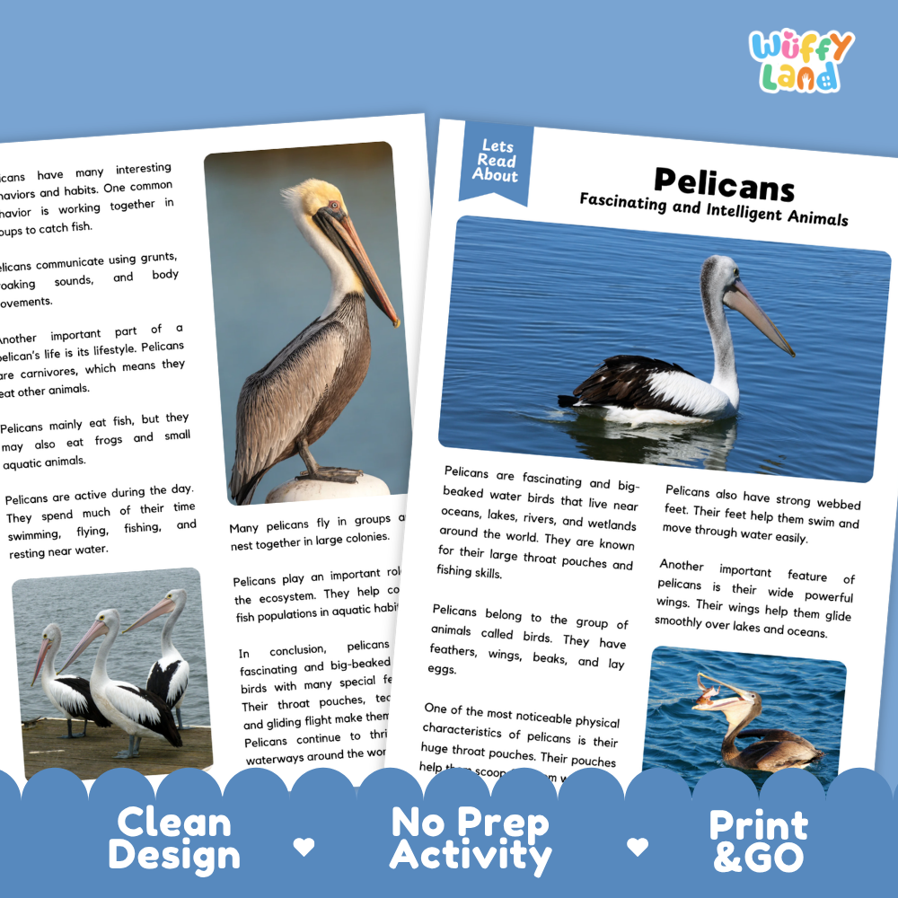 Pelican Reading Passage and Comprehension Questions with Answer Key Worksheets