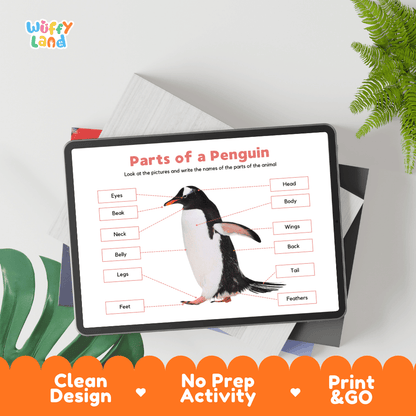 Educational cut and paste penguin anatomy worksheet with printable word cutout tiles for wings, beak, feet, and feathers